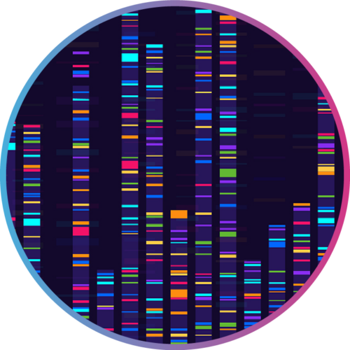Visual Genome Gene Visualization Platform for GWAS & Genomic Data Analysis | Excelra