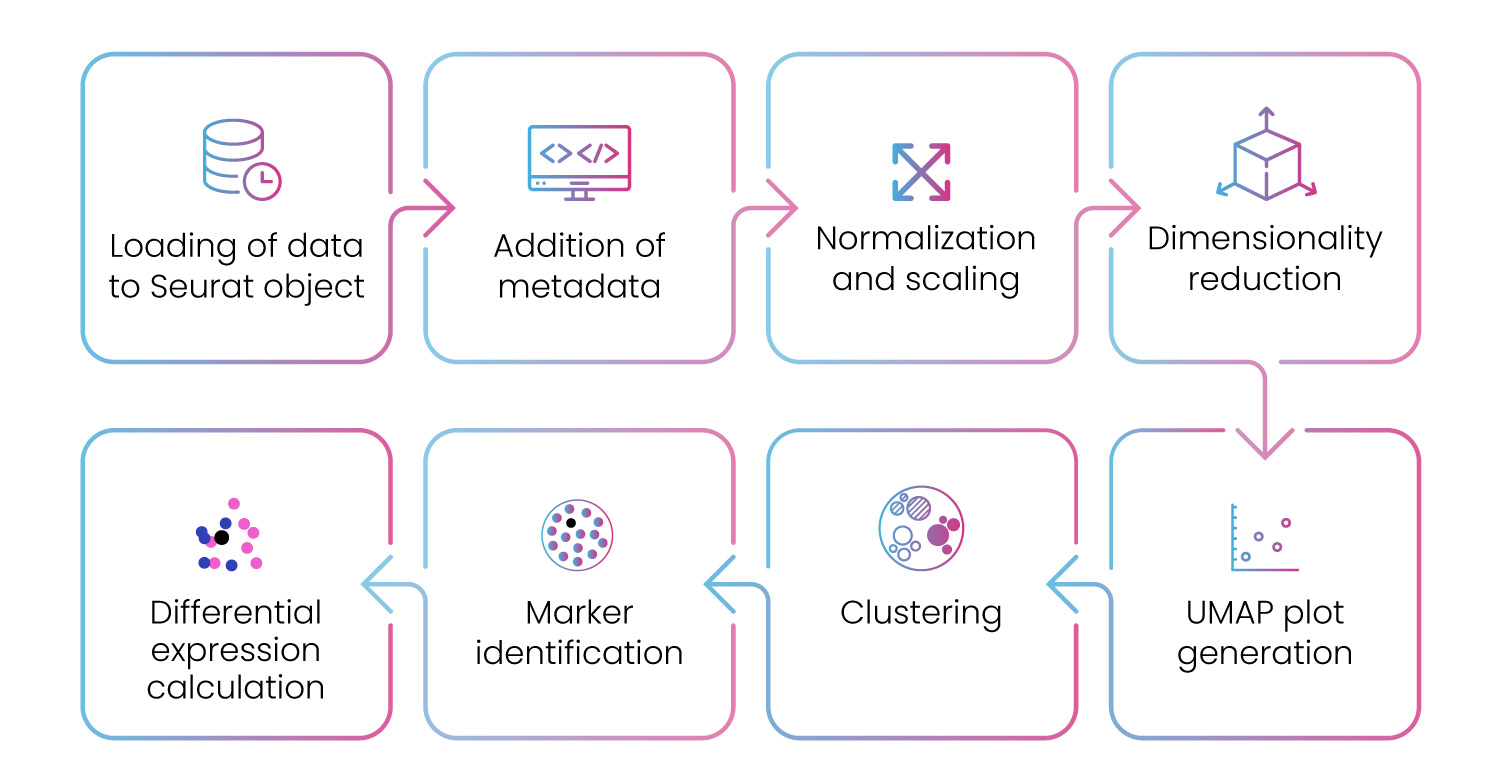 Differential gene expression pipeline to analyze scRNA-Seq data