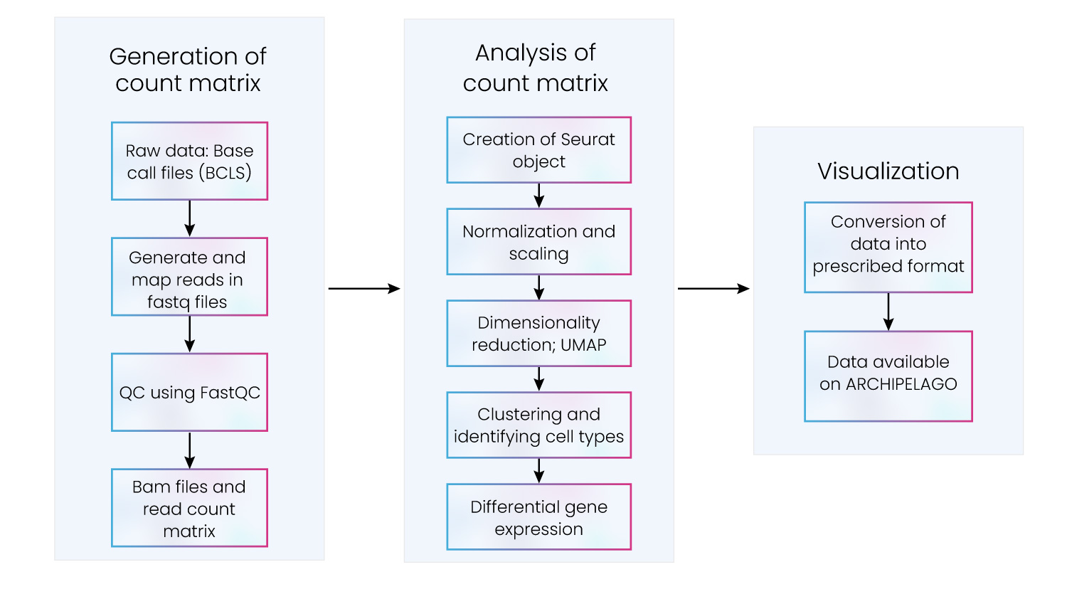 Key steps in scRNA-Seq data processing and downstream analysis