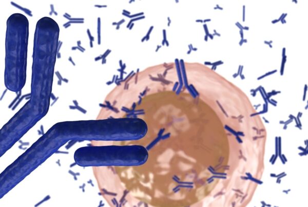 A robust and high-throughput pipeline for immune repertoire data analysis