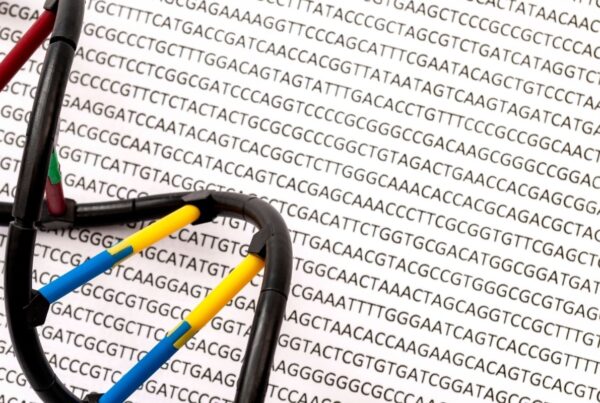 Fast and cost-effective whole-genome analysis