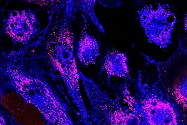 Identification of genomic biomarkers for cell line differentiation