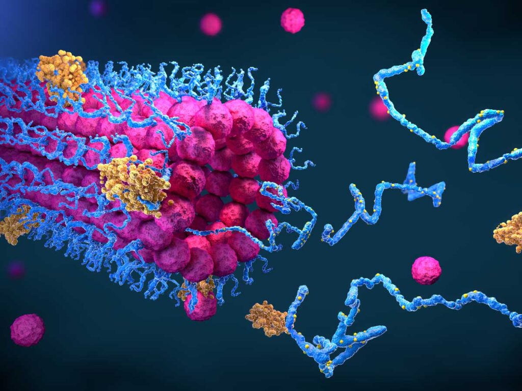 innovative-strategies-for-functional-proteomics
