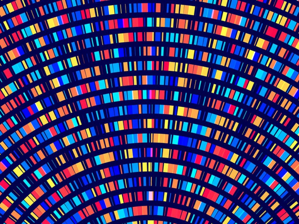 excelra-spatial-transcriptomics-solutions