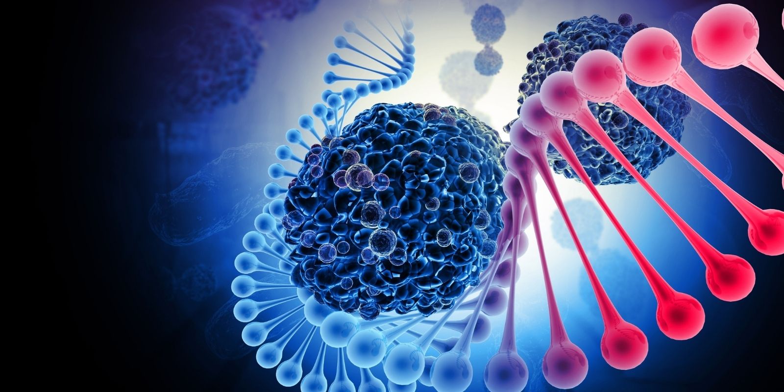 Spatial & Single-Cell Transcriptomics for Cancer Profiling