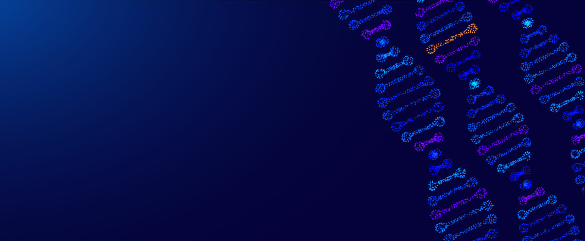 DNA strands