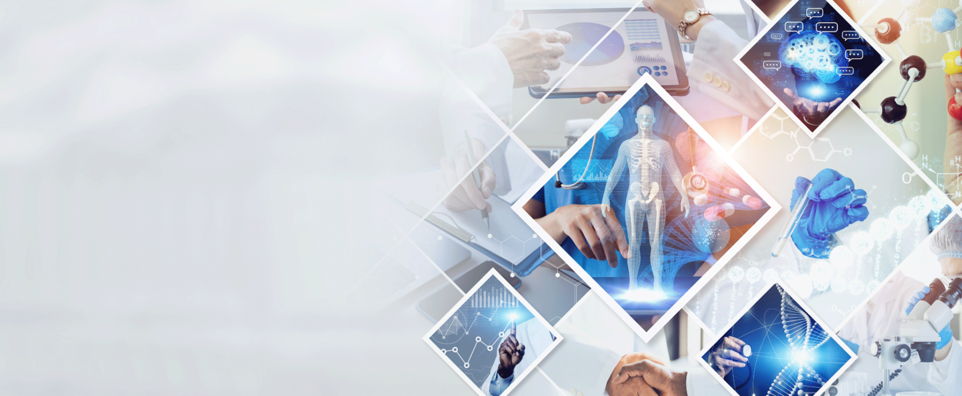 BioVisualizer - Excelra case study