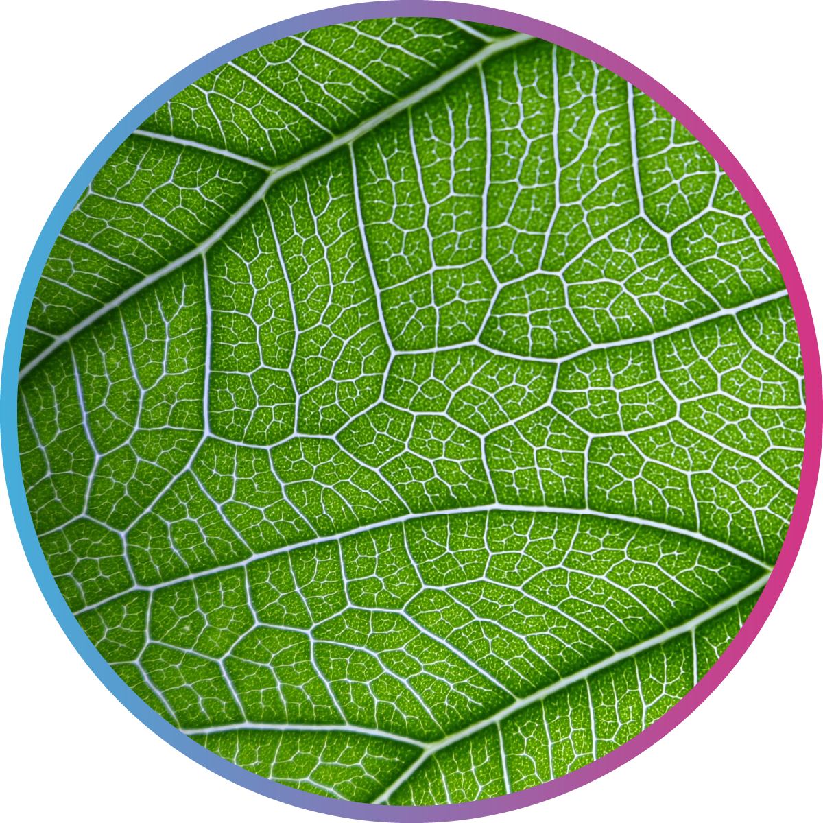 Agrigenomics-landing