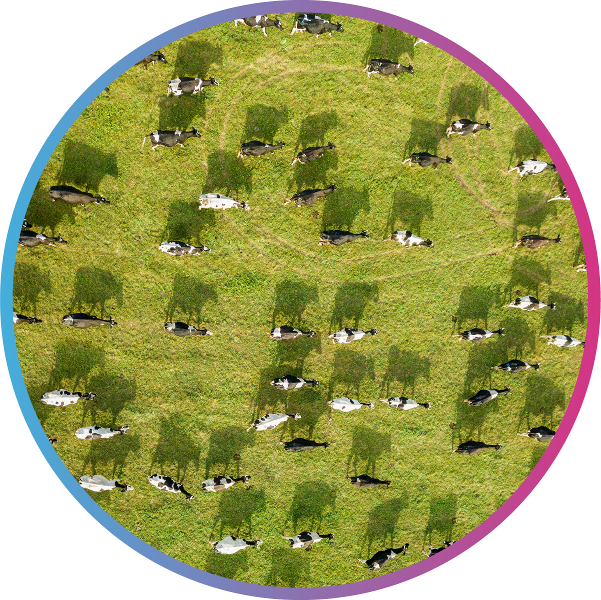 Animal Health-landing