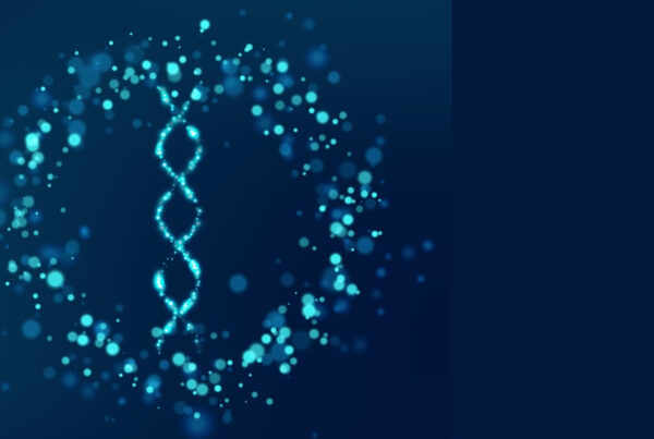 Building a Scalable Reference Framework for a High-Quality Bat Genome Assembly