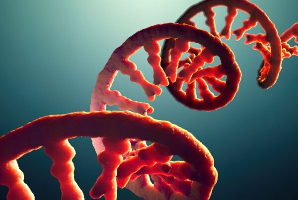 Development of Optimized Workflow for Viral Genome Reconstruction and Taxonomic Classification from RNA-Seq Data