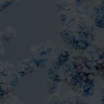 peptide-cytokine-receptor-design-value-cover