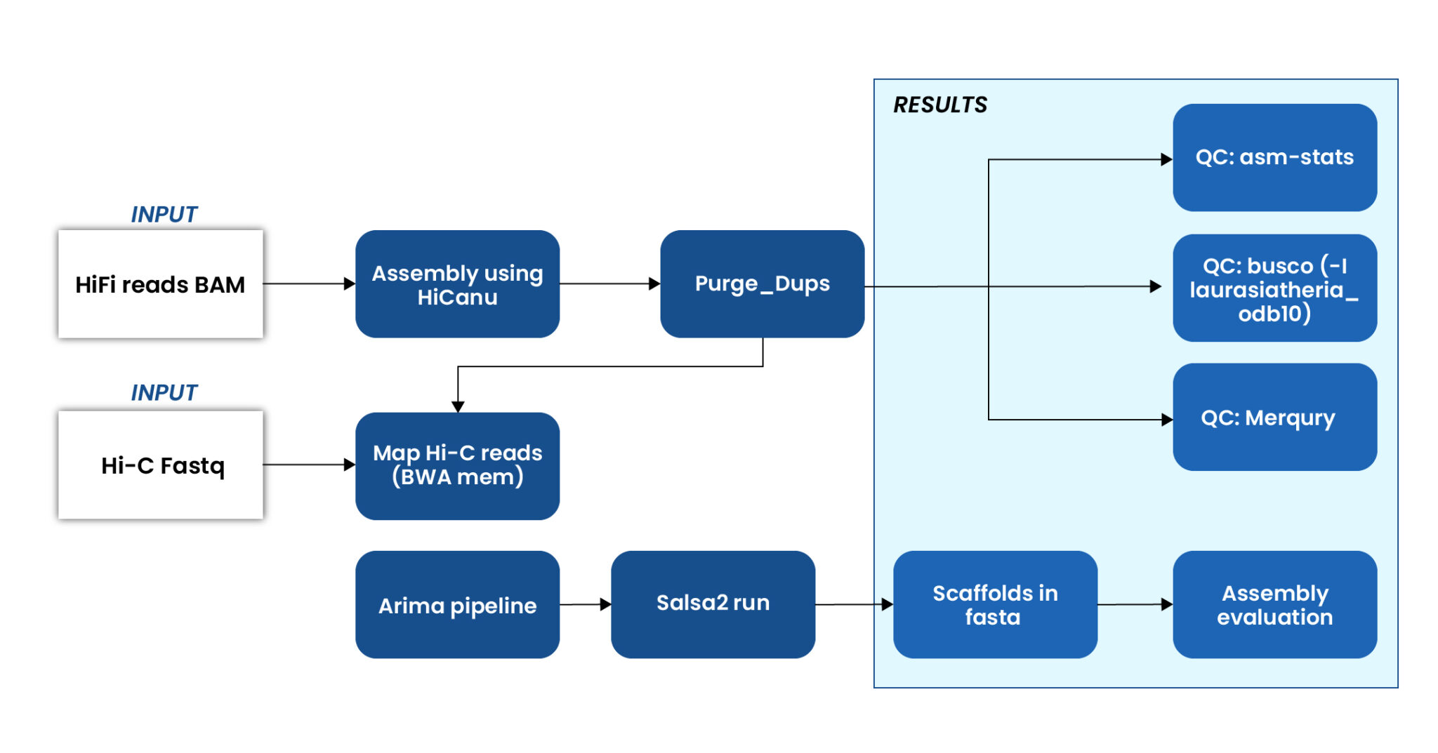 Scalable Reference Framework for Bat Genome Assembly