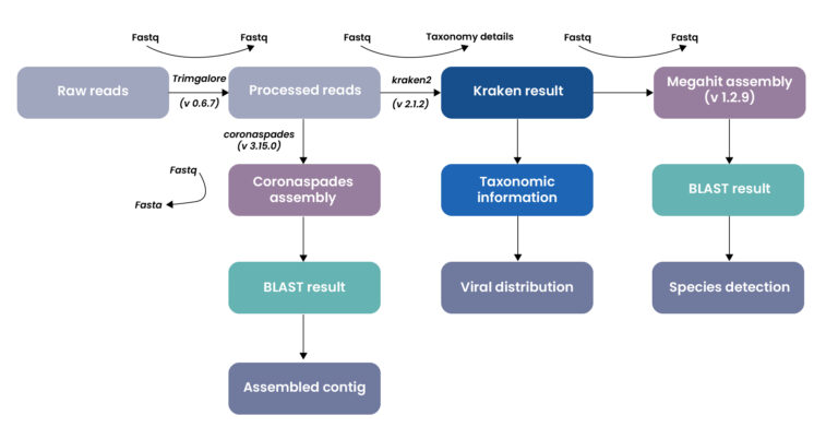 Viral Genome Classification Pipeline for Scalable RNA-Seq Analysis ...