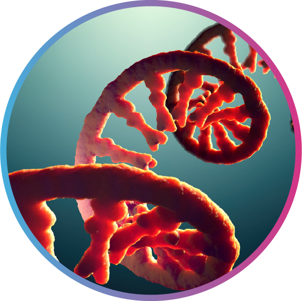 viral-genome-classification-pipeline-Value add