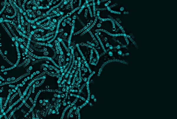 Scalable Microbiome Data Platform for Advanced Veterinary Research