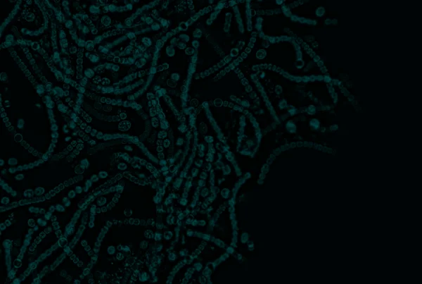 microbiome-data-platform-vet-cover