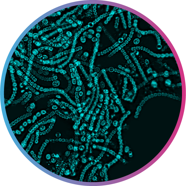 microbiome-data-platform-vet-value