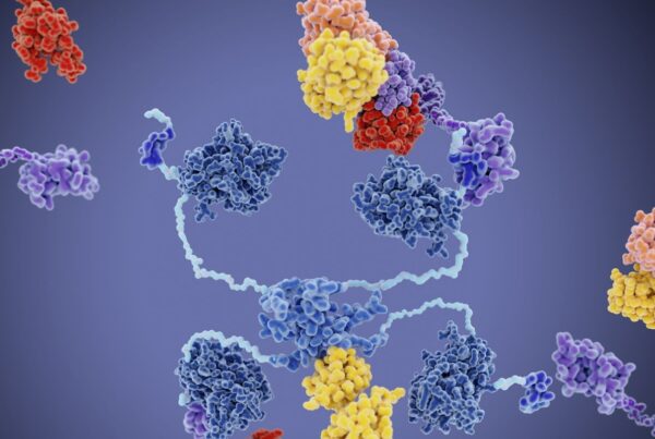 Data Compendium for MDM2 Inhibitors