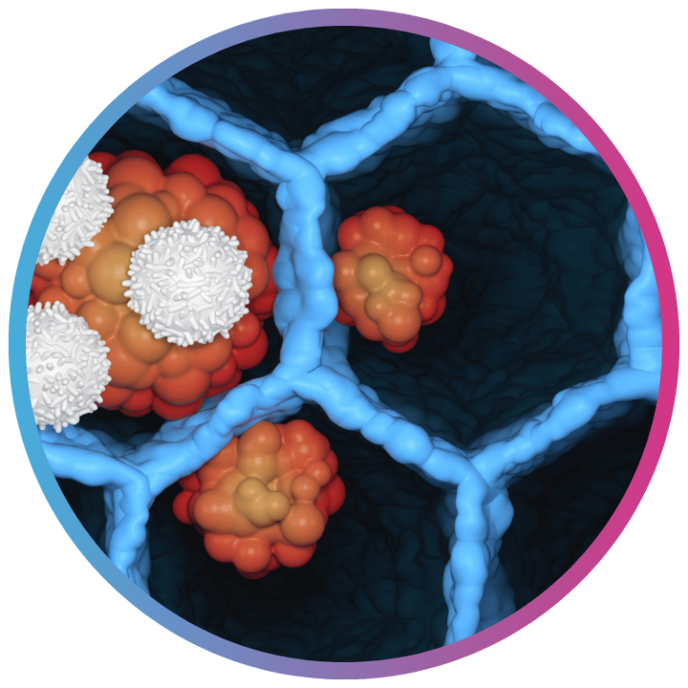 Lineage-Specific Transcriptomic Target Discovery in SCLC and Ovary Carcinoma