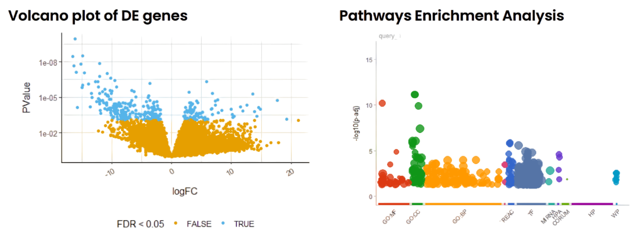 PDX RNA-Seq Analysis Pipeline for Cancer Models & Biomarker Discovery