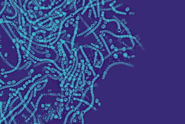 Accelerating Microbiome Research and Strain Engineering with Automated Bioinformatics Pipelines