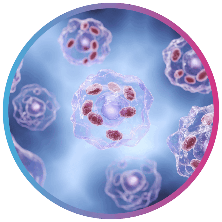 Biomarker Discovery for Cell Line Differentiation