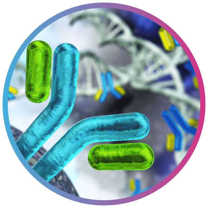 AIRR-Seq TCR bulk pipeline