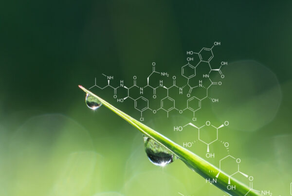 Novel Scaffold Generation for Herbicidal Compounds