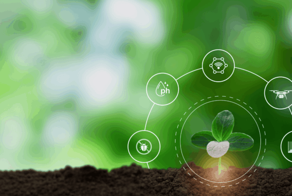 Toxicity Model Analysis for Fungicide