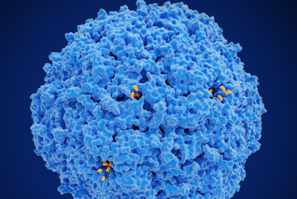 Compound screening platform for drug discovery and design