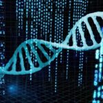 Accelerating ADC Research with Analysis-Ready PK and Safety Datasets