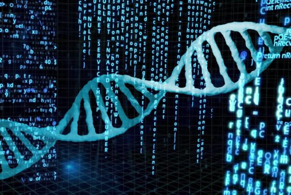 Accelerating ADC Research with Analysis-Ready PK and Safety Datasets