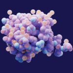 Post-Translational Modifications in Drug Discovery- From Molecular Regulation to Clinical Impact