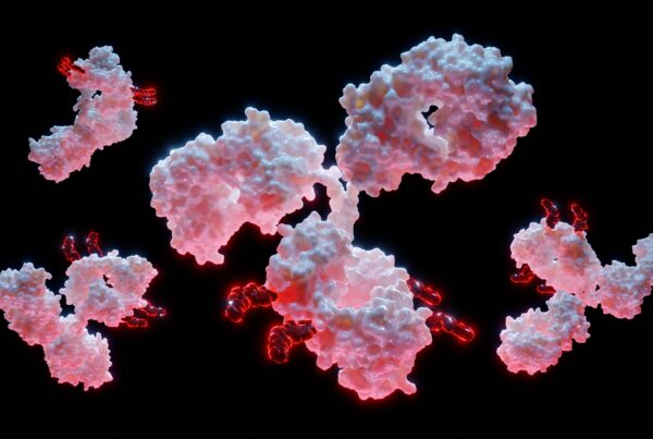 Bridging Bench to Bedside An Integrated ModelInformed Strategy to Reduce ADC Attrition