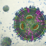Structuring Lipid Nanoparticle Delivery Data to Power AIML-Driven Formulation Design